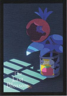 「ホウセンカ」パンフレット