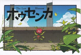 入場者プレゼント